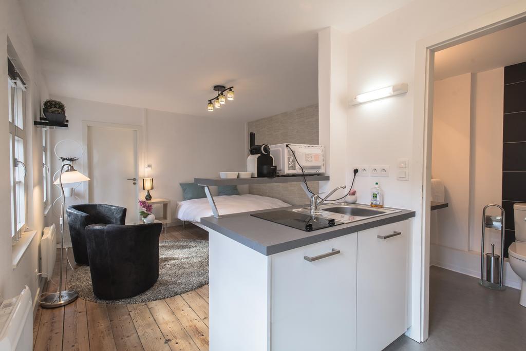 שטרסבורג Appartements Orfevres Cathedrale מראה חיצוני תמונה